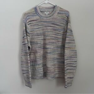 J. Crew Sweater in Pastel Knit